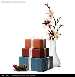 梅花禮品psd素材免費下載 編號604513 紅動網(wǎng)